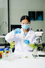 Biologist taking experiment with plants working in biochemistry laboratory.