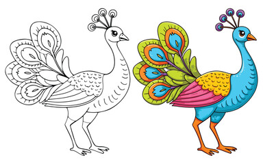 Peacock Isolated Line Art Vector Outline Illustration Black and White with Coloring Sample