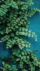 Lush green vine on teal wall; nature background; design texture