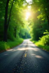 Fototapeta premium Sunlit Path Through Lush Green Canopy A Scenic Drive on a Winding Road