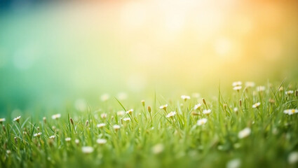 Spring Meadow Bliss: Blooming Flowers, Sunshine & Nature’s Serenity. Generative AI