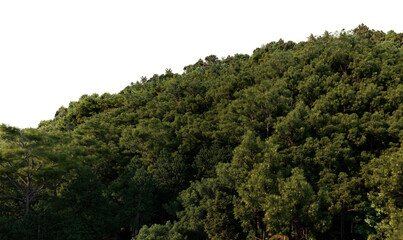 3D render mountains on transparent background
