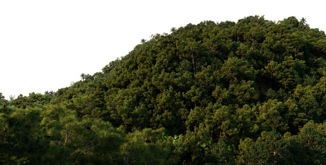 3D render mountains on transparent background
