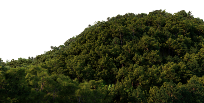 3D render mountains on transparent background
