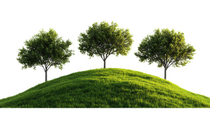 Fototapeta premium three lush tree on green hill isolated on white background