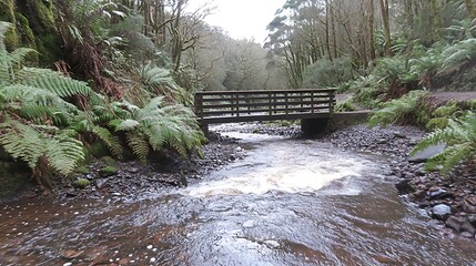 Obraz premium A wooden bridge crosses a flowing river in a forest landscape