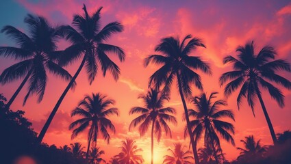 Silhouettes of palm trees set against a vibrant tropical sunset sky.