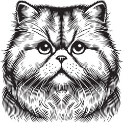 Persian cat vector in black and white