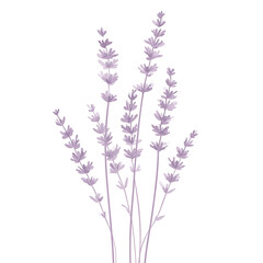 Naklejka premium flowers and leaves in pictures illustrator2D