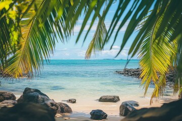 A tropical beach with palm trees and rocks, looking out to the ocean in Hawaii on a sunny day.