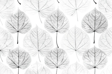 Obraz premium Dried petals arranged artistically, showcasing monochrome textures with soft natural lighting