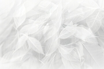 Obraz premium Macro shot of translucent leaf veins, subtle curves creating an elegant nature-inspired composition