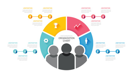 organization chart Infographic template for business with avatar icons. vector illustration.