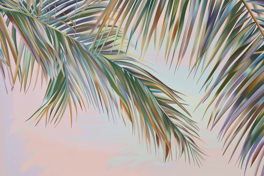 Palm Tree Tumblr Header