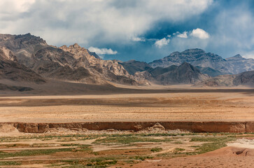 A desert landscape with mountains in the background