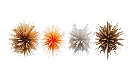 Fototapeta premium Colorful sea urchins with vibrant spiky spines in orange and brown tones, detailed marine biology specimen isolated on a white background