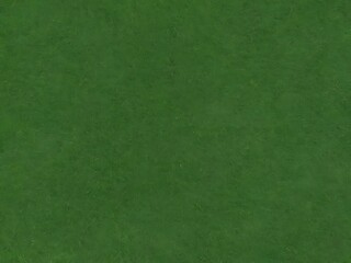Fototapeta premium fresh spring green grass isolated