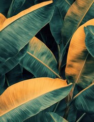 Tropical banana leaves pattern, vibrant foliage texture.