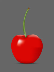 Cherry fruit realistic red color for decoration