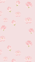 Pink lotus wallpaper, flower pattern illustration