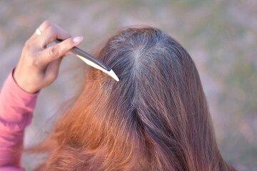 Asian woman's gray hair, Grey color hair of Asian, Regrown gray roots of dyed hair on head of woman, Dry and damaged hair