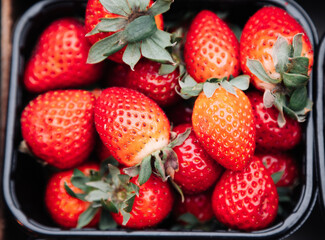 Fresh ripe strawberries in a black plastic container. Sweet and juicy berries. Perfect for food...