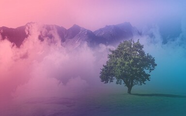 Misty Mountain Tree Landscape