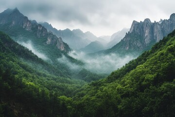 Fototapeta premium Majestic mountains and a dense forest landscape, with a misty atmosphere, perfect for nature photography.