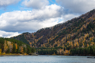 Larch in the mountains. Autumn landscape.