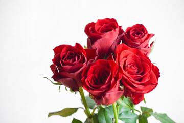 赤い薔薇