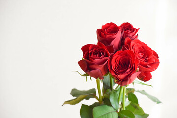 赤い薔薇