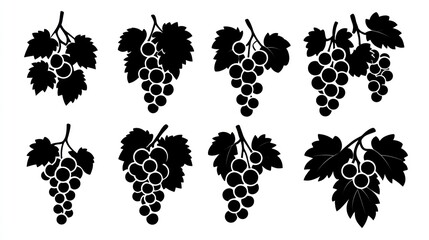 Grapes silhouettes,  various bunches,  illustration,  graphic design,  food icons