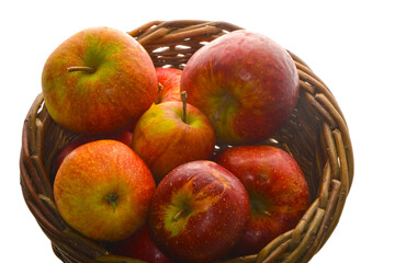 Apfel,  Malus domestica, Wellant, Rubinette,  Gala im  Korb