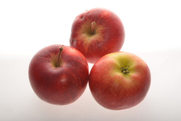 Apfel,  Malus domestica,  Rubinola