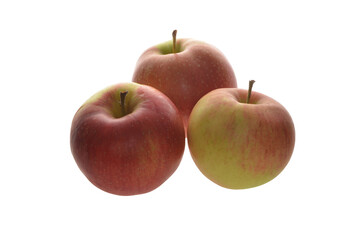 Apfel,  Malus domestica, Santana