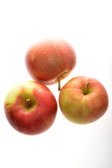 Apfel,  Malus domestica, Santana