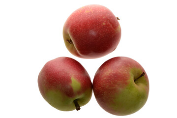 Apfel,  Malus domestica, Summerred