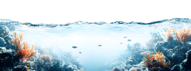 Vibrant Underwater Coral Reef Scene with Clear Water