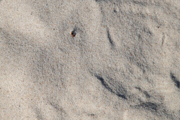 Tekstura z piasku