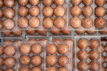 Close-up of brown eggs neatly packed in transparent plastic containers. A detailed view of fresh farm eggs in protective packaging, symbolizing food safety, nutrition, and grocery shopping.