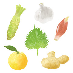 薬味のイラスト