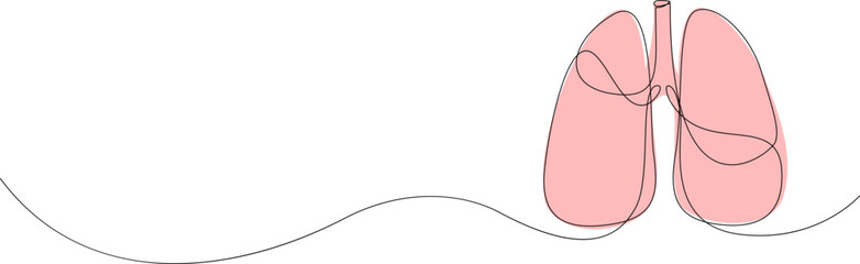Anatomical human lungs organ continuous one line drawing. Vector illustration.