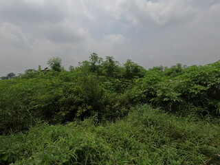 beautiful hill views during the rainy season