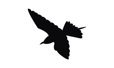 African green bee eater bird Silhouette Design  And Vector Illustration. 
