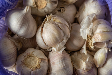 Close-up of fresh garlic bulbs in a purple mesh bag, showcasing their natural texture and earthy tones. Ideal for food, agriculture, and culinary themes.