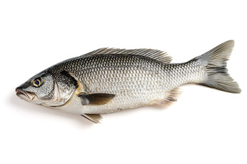 Fototapeta premium Delicate sea bass fillet lies calmly on a clean white surface, showcasing its smooth texture and natural sheen. This fish promises great flavor for various dishes