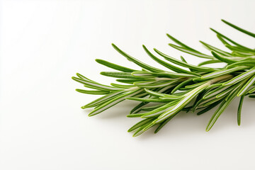 Fototapeta premium A whole sprig of rosemary rests elegantly on a pristine white background, illuminated by soft studio lighting. The green leaves glisten, revealing their detail and freshness