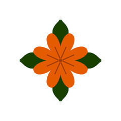 orange flower on white background