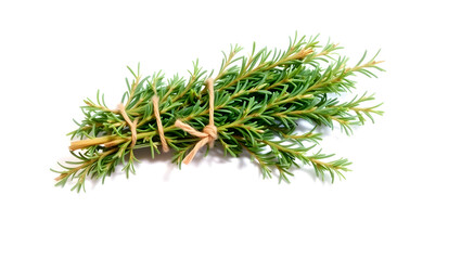 a bundle of fresh rosemary, tied together with natural twine, ready for use 