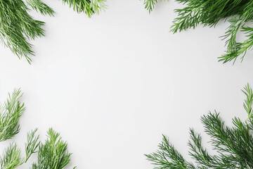 Green dill fronds are carefully arranged with precision on a clean white background, highlighting the vibrant texture and lively color, perfect for enhancing culinary dishes or artistic compositions
